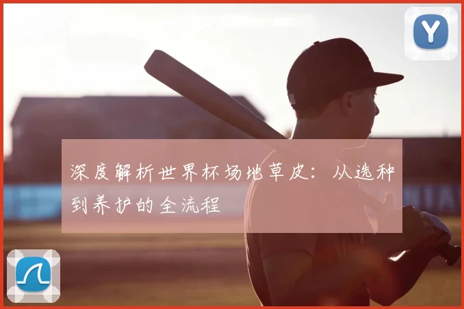 深度解析世界杯场地草皮:从选种到养护的全流程