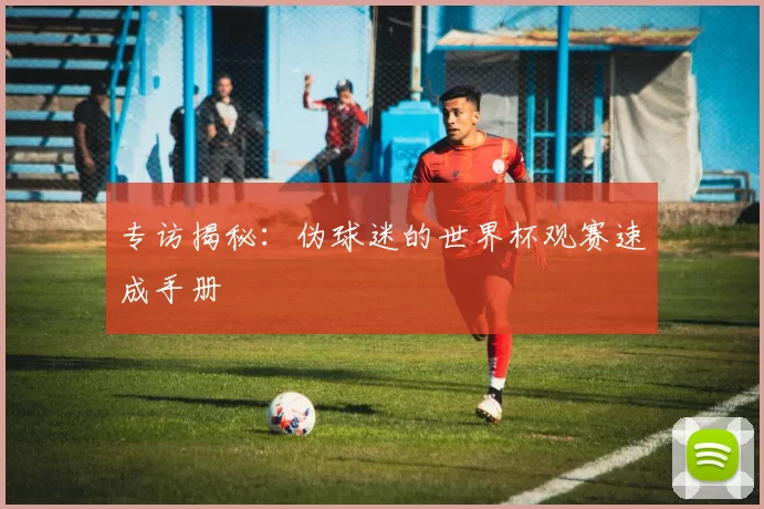 专访揭秘:伪球迷的世界杯观赛速成手册