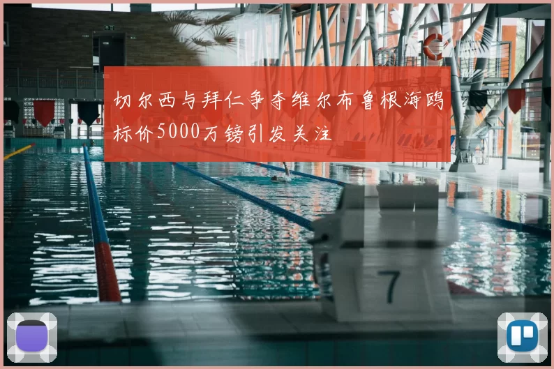 切尔西与拜仁争夺维尔布鲁根海鸥标价5000万镑引发关注