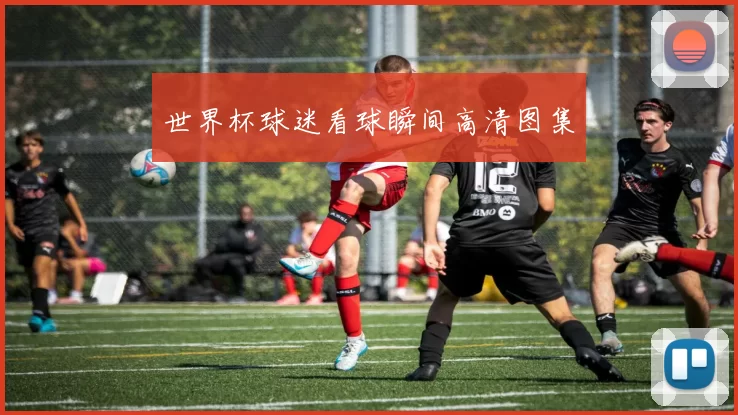 世界杯球迷看球瞬间高清图集
