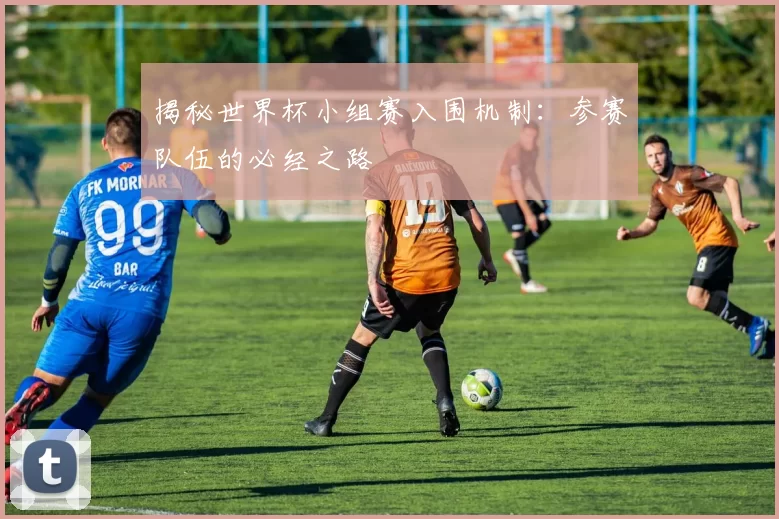 揭秘世界杯小组赛入围机制:参赛队伍的必经之路
