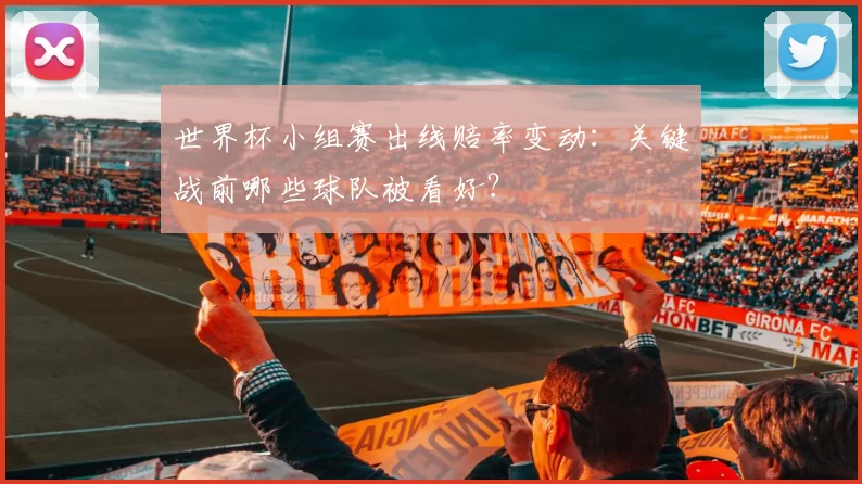 世界杯小组赛出线赔率变动：关键战前哪些球队被看好？