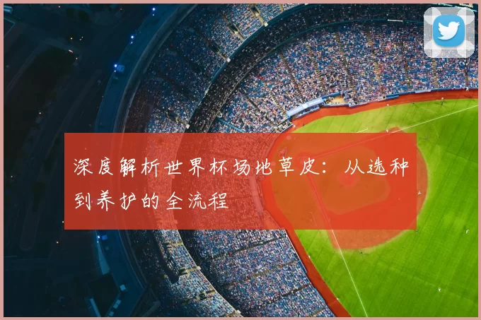 深度解析世界杯场地草皮：从选种到养护的全流程