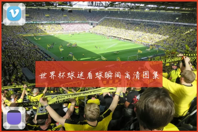世界杯球迷看球瞬间高清图集