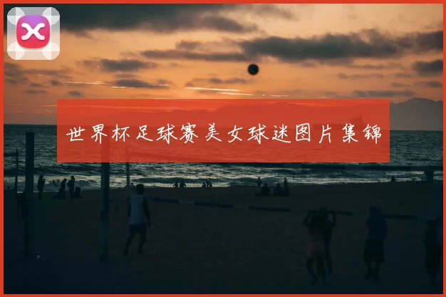 世界杯足球赛美女球迷图片集锦