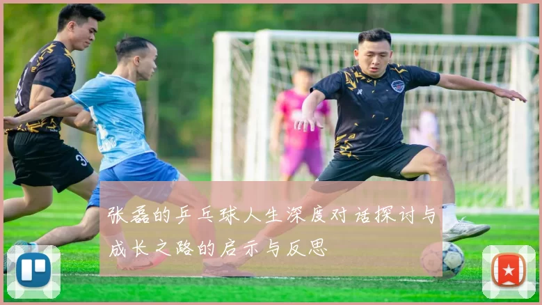 张磊的乒乓球人生深度对话探讨与成长之路的启示与反思