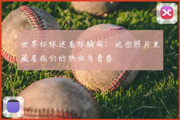 世界杯球迷看球瞬间：这些照片里藏着我们的热血与青春