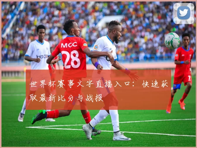 世界杯赛事文字直播入口：快速获取最新比分与战报
