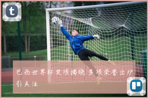 巴西世界杯奖项揭晓 多项荣誉出炉引关注