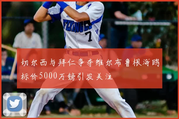 切尔西与拜仁争夺维尔布鲁根海鸥标价5000万镑引发关注