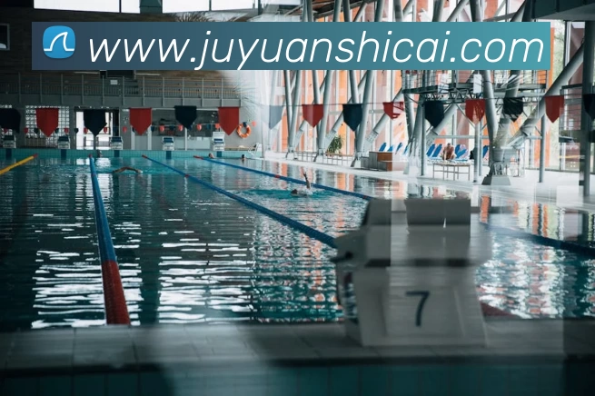 买球赛平台生态图